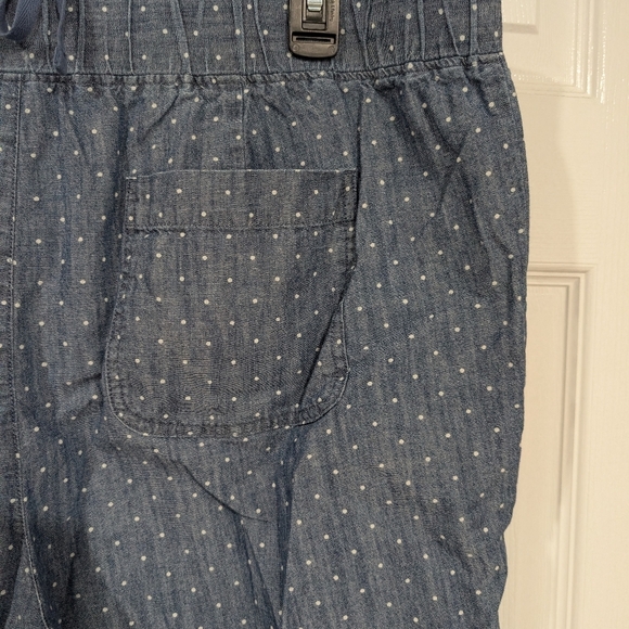 Talbots Chambray with White Polka Dots Casual Shorts in 16 - Picture 8 of 11